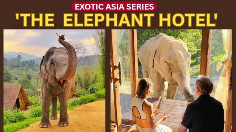 One of the Most Enjoyable Resorts in The World! Deep in the Jungle!