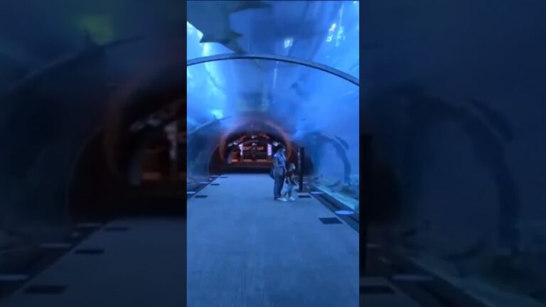 Top 3 Popular Places to Visit in Digha: A Travel Guide