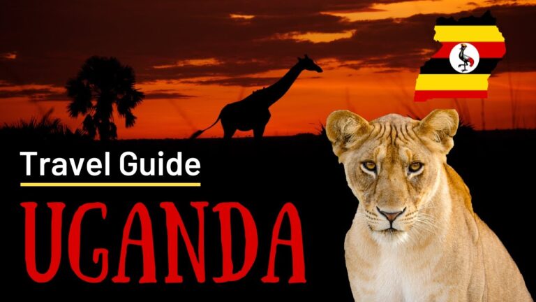 Where to Go in Uganda (Detailed Travel Guide)